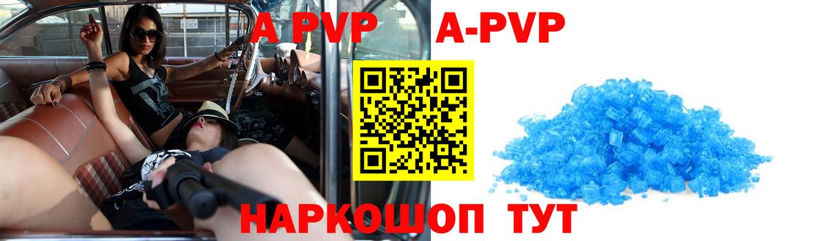 A-PVP СК КРИС Аргун