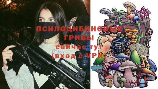 крисы Алзамай