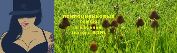крисы Алзамай
