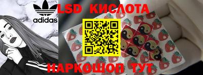 прущие грибы Брянск