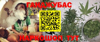 прущие грибы Брянск