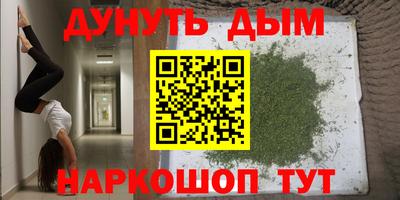 прущие грибы Брянск