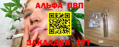 прущие грибы Брянск
