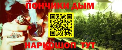 прущие грибы Брянск