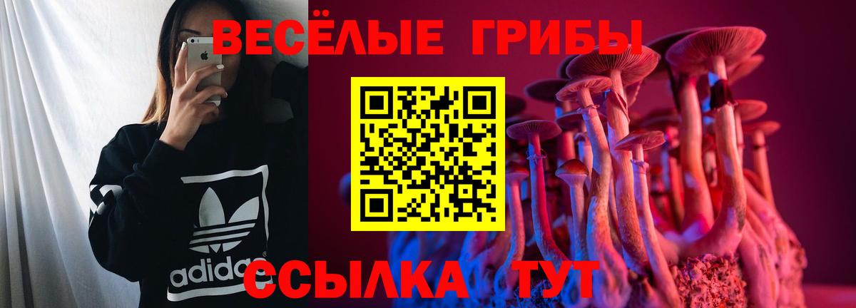 Псилоцибиновые грибы MAGIC MUSHROOMS  Вход с VPN  Аргун  Галлюциногенные грибы Psilocybe 
